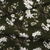 fabric fold mockup