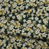 fabric fold mockup