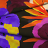 fabric fold mockup