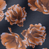 Flores estilizadas en tonos ocre y marrón sobre fondo negro oscuro, diseño artístico botánico decorativo fabric ripple mockup