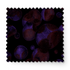 fabric swatch mockup