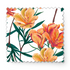 fabric swatch mockup