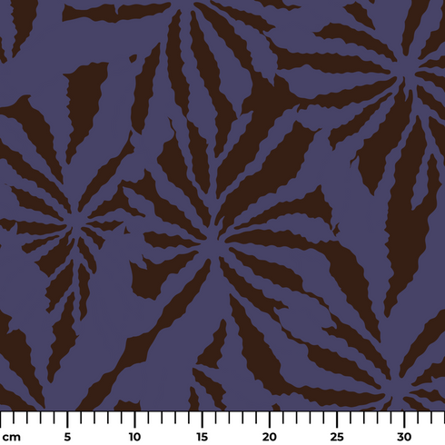 ruler cm