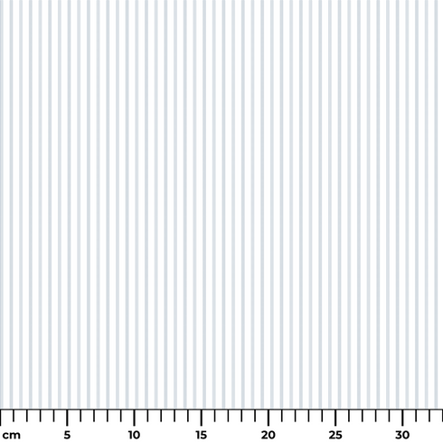 ruler cm