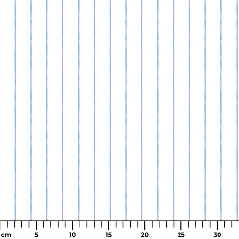 ruler cm