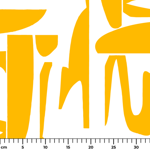 ruler cm