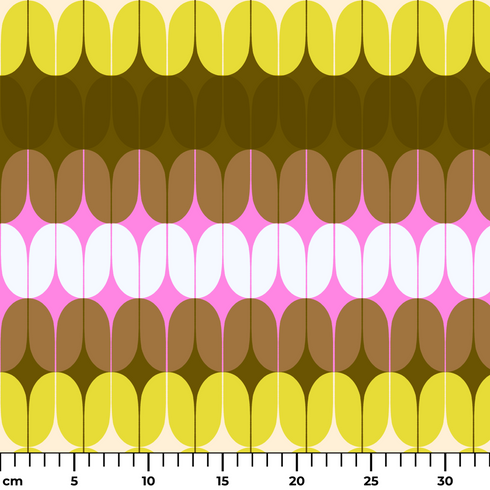 ruler cm