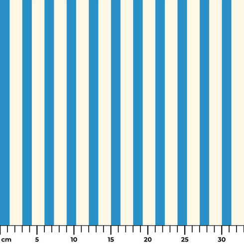 ruler cm