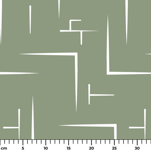 ruler cm