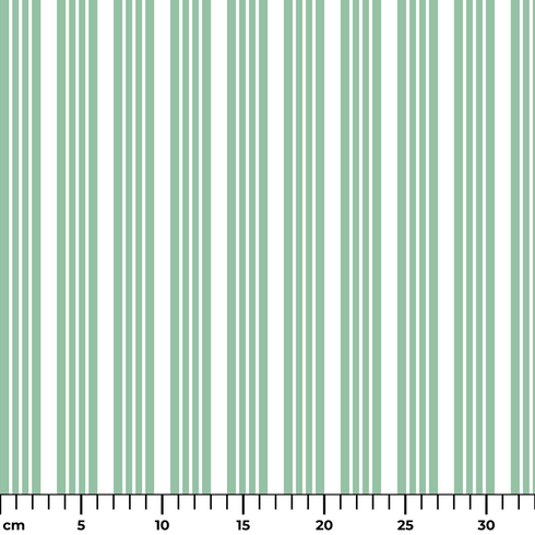 ruler cm