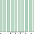 ruler cm