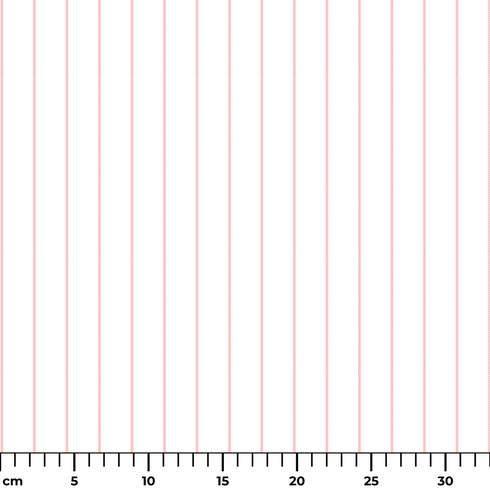 ruler cm