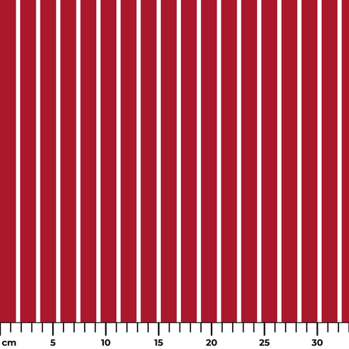 ruler cm