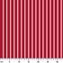 ruler cm