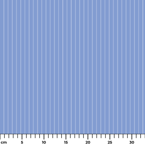 ruler cm