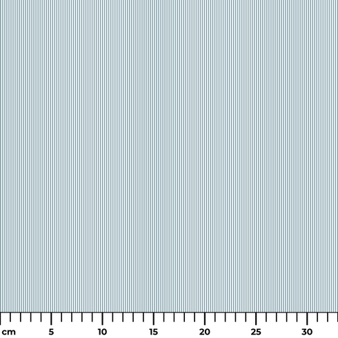 ruler cm
