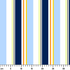 ruler cm