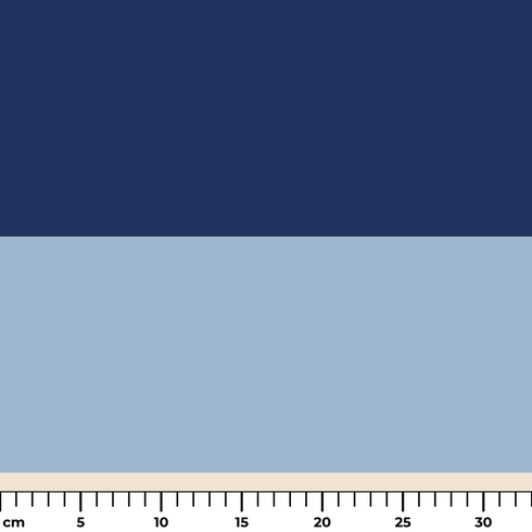 ruler cm