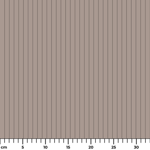 ruler cm