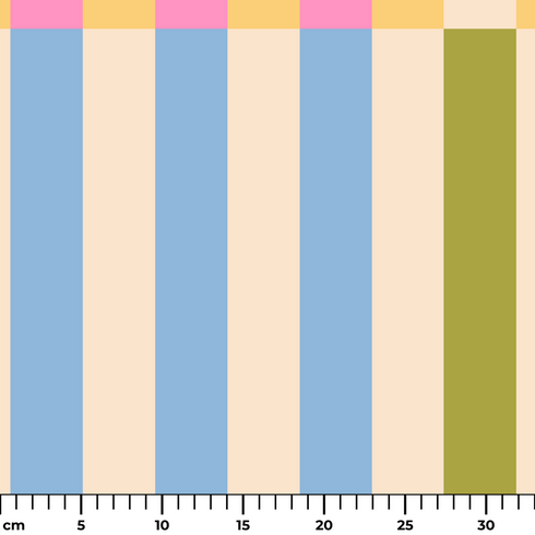 ruler cm