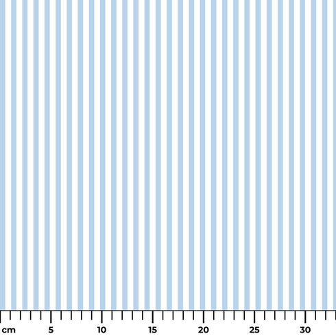 ruler cm