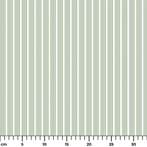 ruler cm