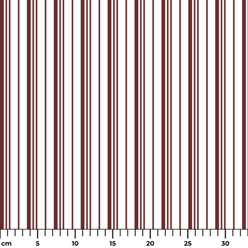 ruler cm
