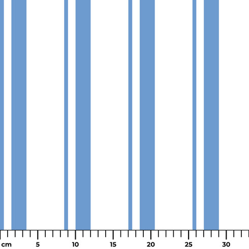 ruler cm