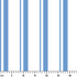 ruler cm