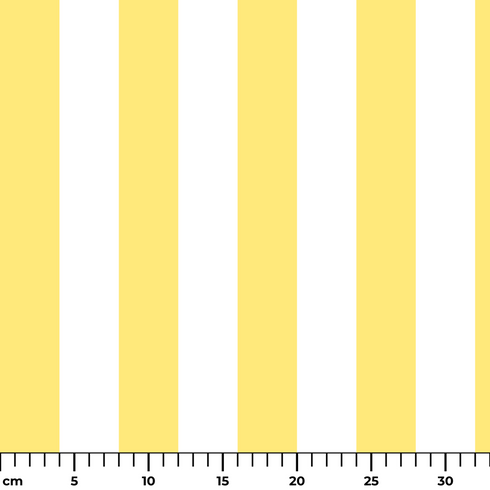 ruler cm
