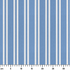 ruler cm