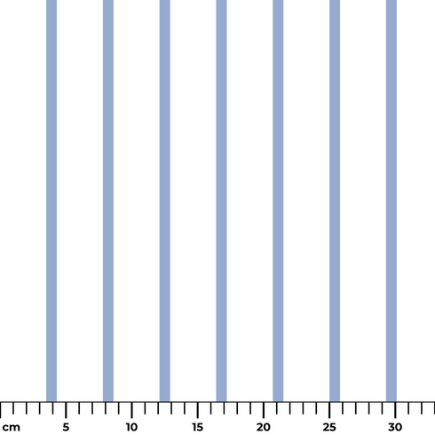 ruler cm