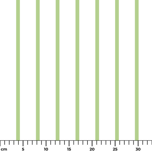 ruler cm