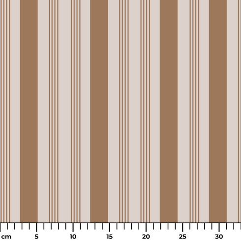ruler cm