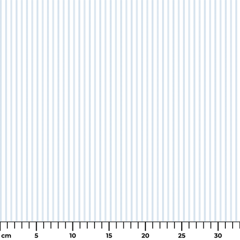 ruler cm