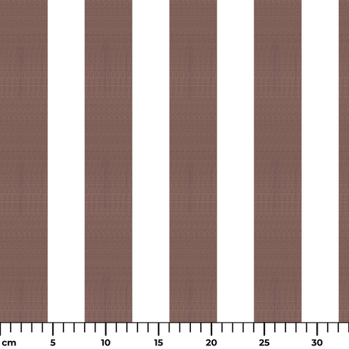 ruler cm