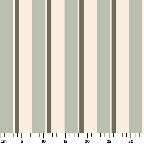 ruler cm