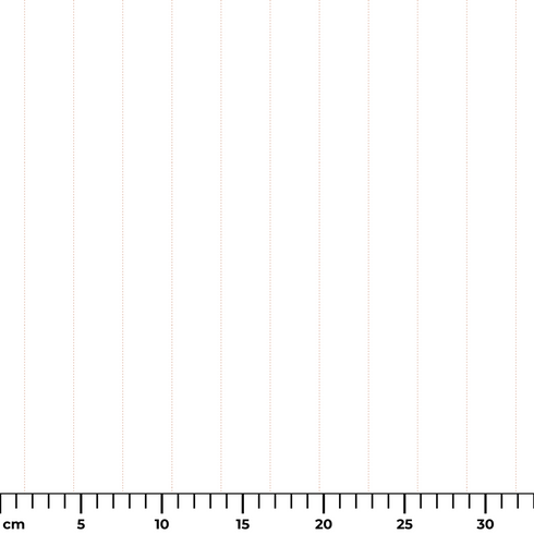 ruler cm