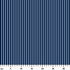 ruler cm