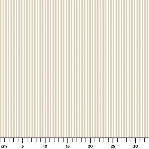 ruler cm