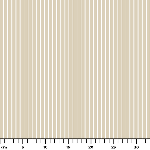 ruler cm