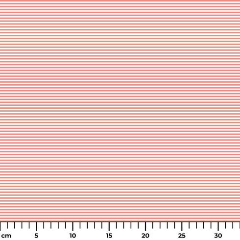 ruler cm