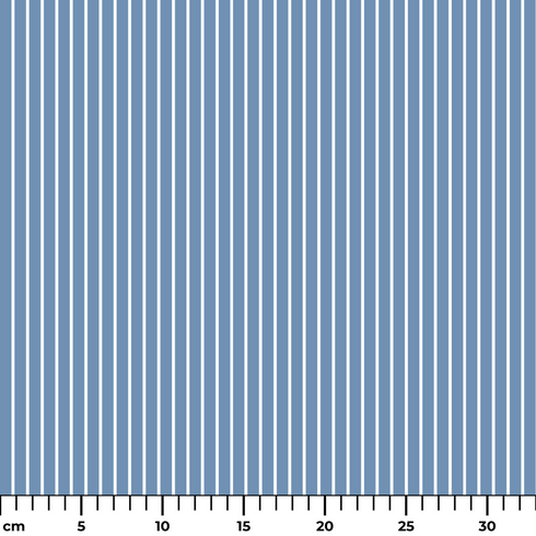ruler cm