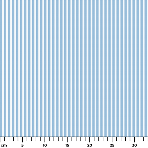 ruler cm