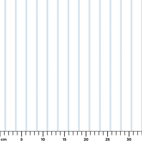 ruler cm