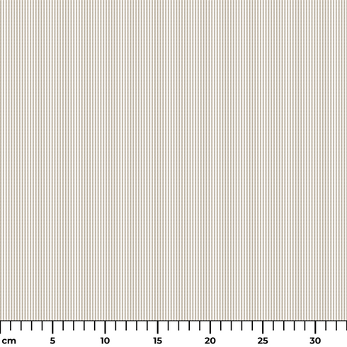 ruler cm