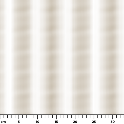 ruler cm