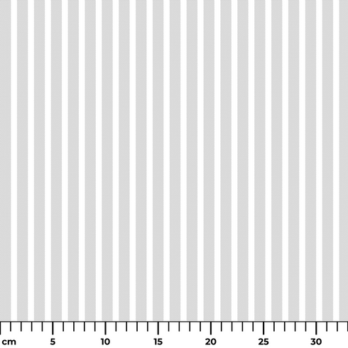 ruler cm