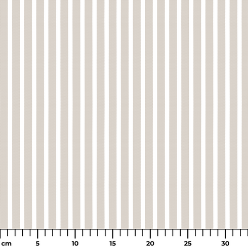 ruler cm
