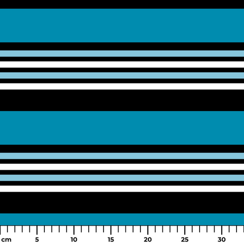 ruler cm